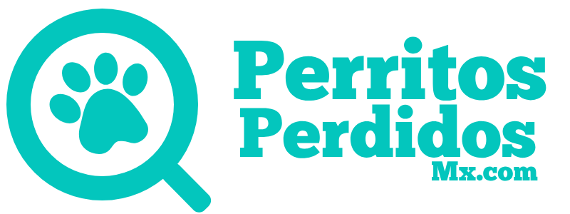 Logo en verde HEAD con lupa y huella de perro – PerritosPerdidos.com