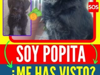 popita