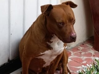 IMG-20241225-WA0010-2
